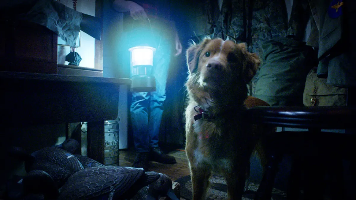 Good Boy: A creative step in the right direction
